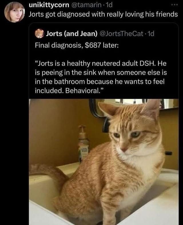 unikittycorn @tamarin. 1d Jorts got diagnosed with really loving his friends Jorts (and Jean) @JortsTheCat. 1d Final diagnosis, $687 later: "Jorts is a healthy neutered adult DSH. He is peeing in the sink when someone else is in the bathroom because he wants to feel included. Behavioral." LOVE whe