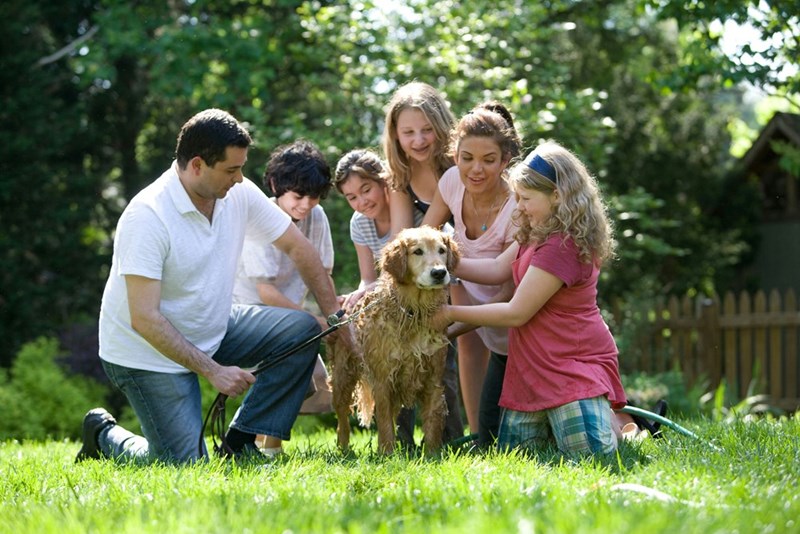 A family playing with a golden retriever dog. Featured likenesses do not identify those mentioned.