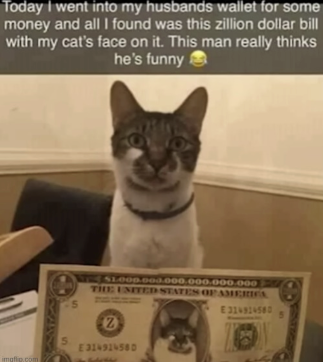 Today I went into my husbands wallet for some money and all I found was this zillion dollar bill with my cat's face on it. This man really thinks he's funny WITH SLOO0.000.000.000.000.000 THE UNITED STATES OF AMERICA 5 E 314914580 5 Z 5 E 31491458D imgflip.com