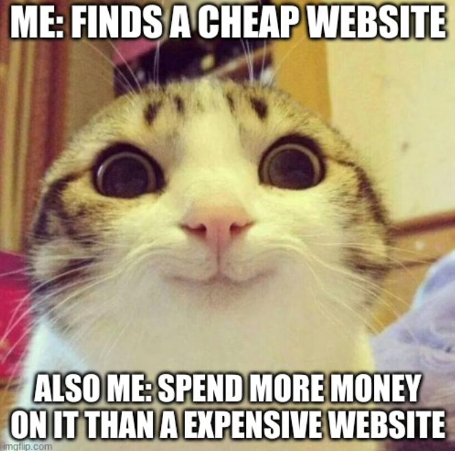 ME: FINDS A CHEAP WEBSITE ALSO ME: SPEND MORE MONEY ON IT THAN A EXPENSIVE WEBSITE imgflip.com