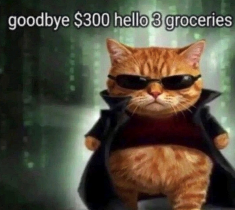 goodbye $300 hello 3 groceries