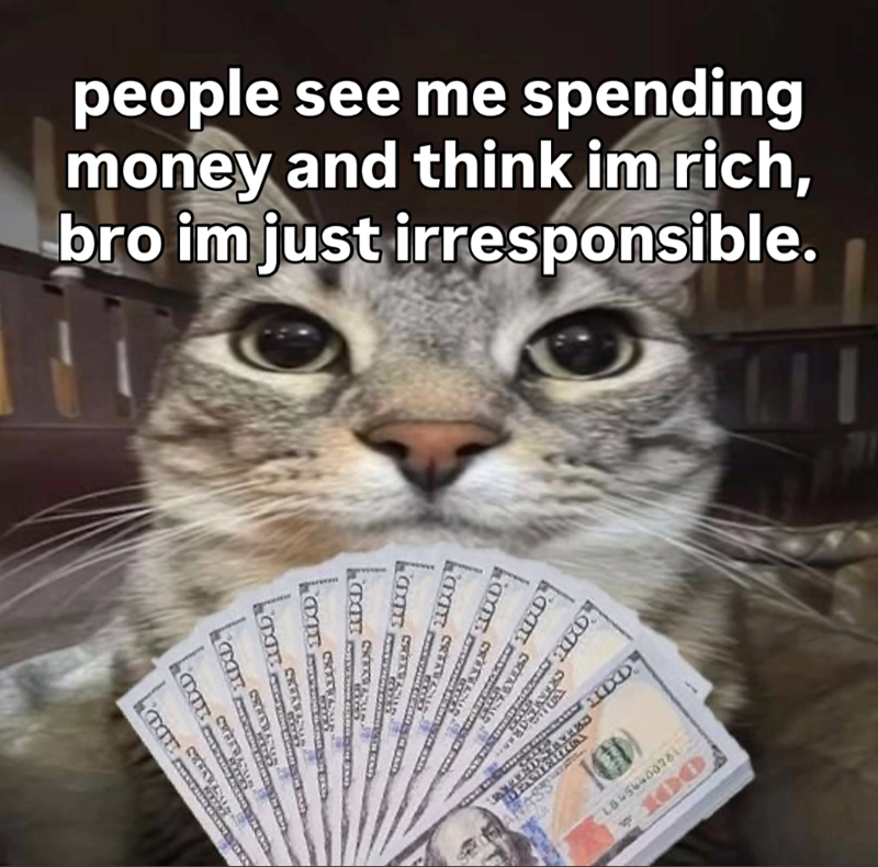 people see me spending money and think im rich, bro im just irresponsible. La CKETRAME XD D CREAT SKRAV CRICK TUTE CRAW ANASS 18456400781 100