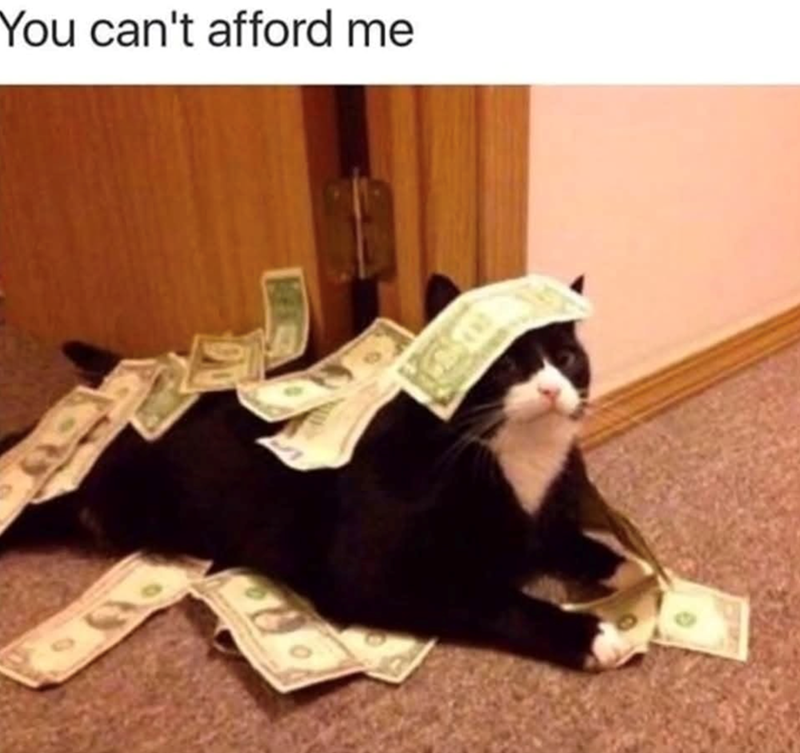 You can't afford me C