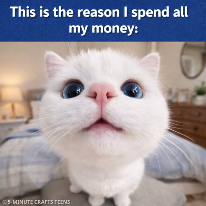 This is the reason I spend all my money: 5-MINUTE CRAFTS TEENS