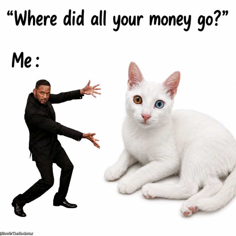 "Where did all your money go?" Me: BowleTheRockstar
