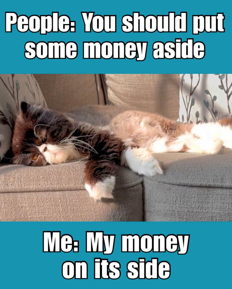 People: You should put some money aside Me: My money on its side