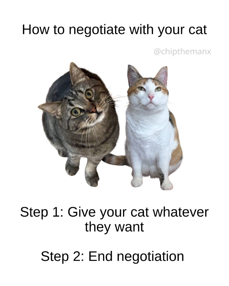 How to negotiate with your cat @chipthemanx Step 1: Give your cat whatever they want Step 2: End negotiation