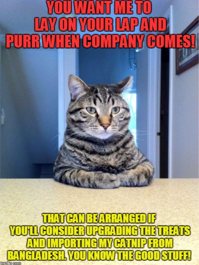 YOU WANT ME TO LAY ON YOUR LAP AND PURR WHEN COMPANY COMES! THAT CAN BE ARRANGED IF YOU'LL CONSIDER UPGRADING THE TREATS AND IMPORTING MY CATNIP FROM BANGLADESH. YOU KNOW THE GOOD STUFF! imgflip.com