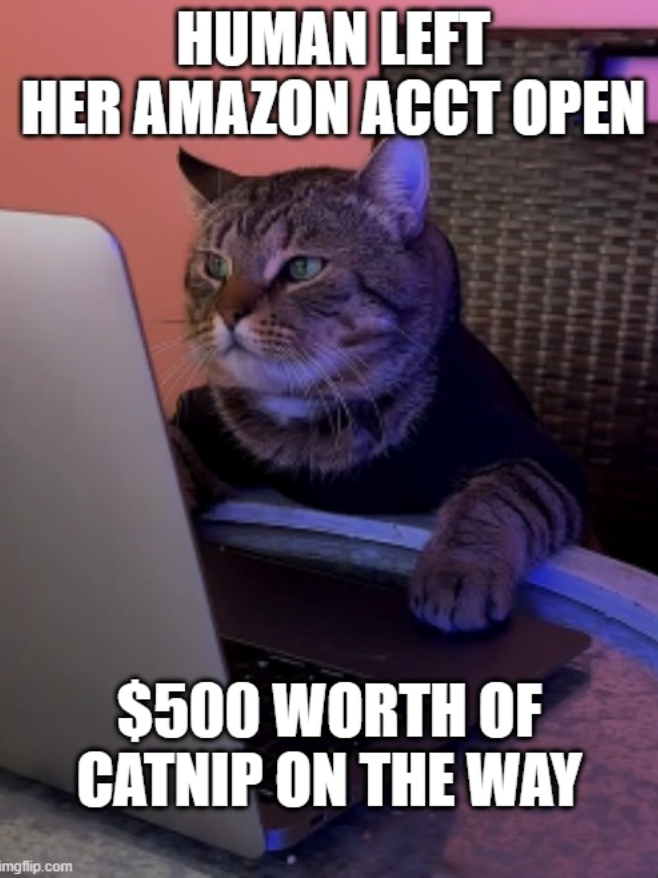 HUMAN LEFT HER AMAZON ACCT OPEN imgflip.com $500 WORTH OF CATNIP ON THE WAY
