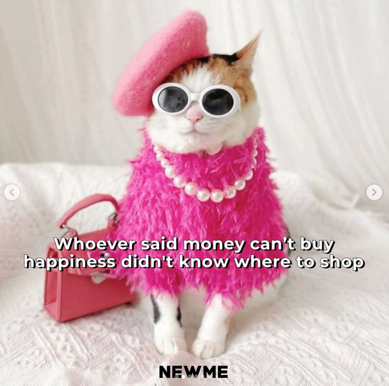< Whoever said money can't buy happiness didn't know where to shop NEWME >