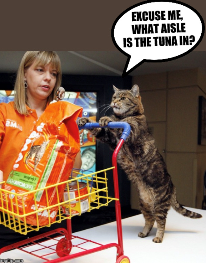 2M& sniphof CASH BVITSAORF imgflip.com EXCUSE ME, WHAT AISLE IS THE TUNA IN?