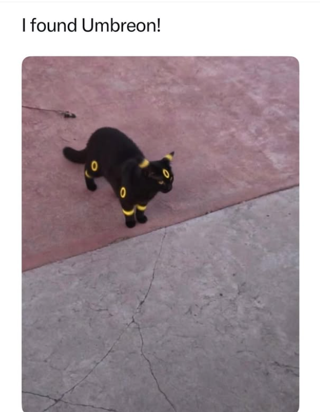 I found Umbreon! 0