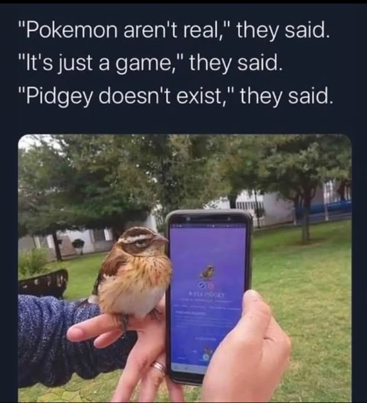 "Pokemon aren't real," they said. "It's just a game," they said. "Pidgey doesn't exist," they said. *014 FIDGEY
