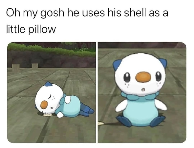 Oh my gosh he uses his shell as a little pillow