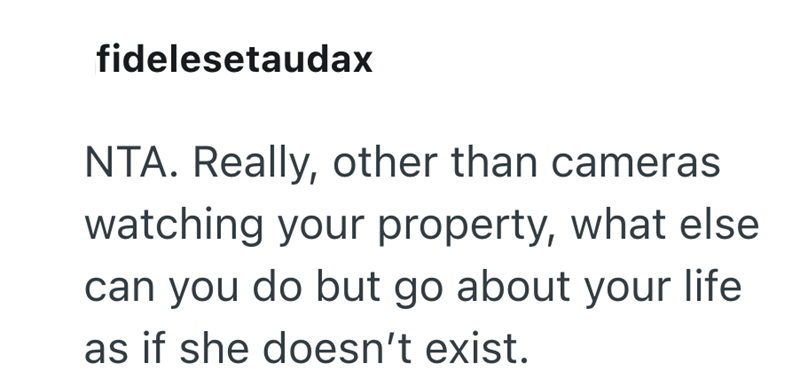 fidelesetaudax NTA. Really, other than cameras watching your property, what else can you do but go about your life as if she doesn't exist.