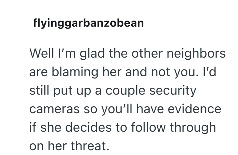 flyinggarbanzobean Well I'm glad the other neighbors are blaming her and not you. I'd still put up a couple security cameras so you'll have evidence if she decides to follow through on her threat.