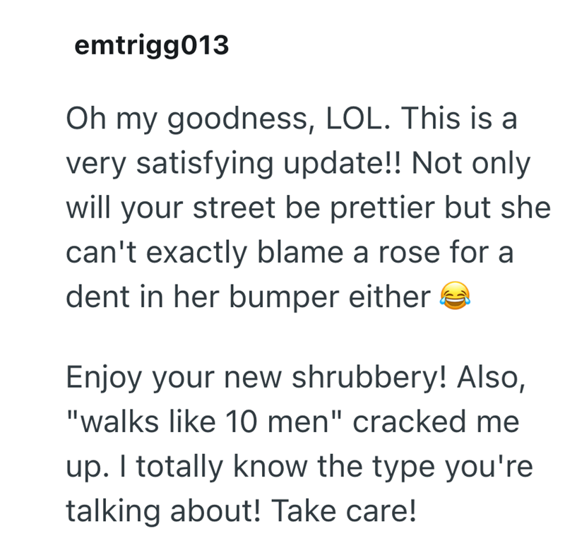 emtrigg013 Oh my goodness, LOL. This is a very satisfying update!! Not only will your street be prettier but she can't exactly blame a rose for a dent in her bumper either Enjoy your new shrubbery! Also, "walks like 10 men" cracked me up. I totally know the type you're talking about! Take care!