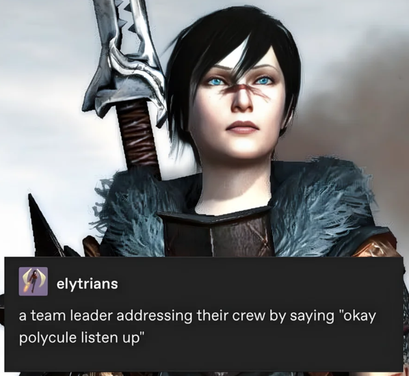 elytrians a team leader addressing their crew by saying "okay polycule listen up"