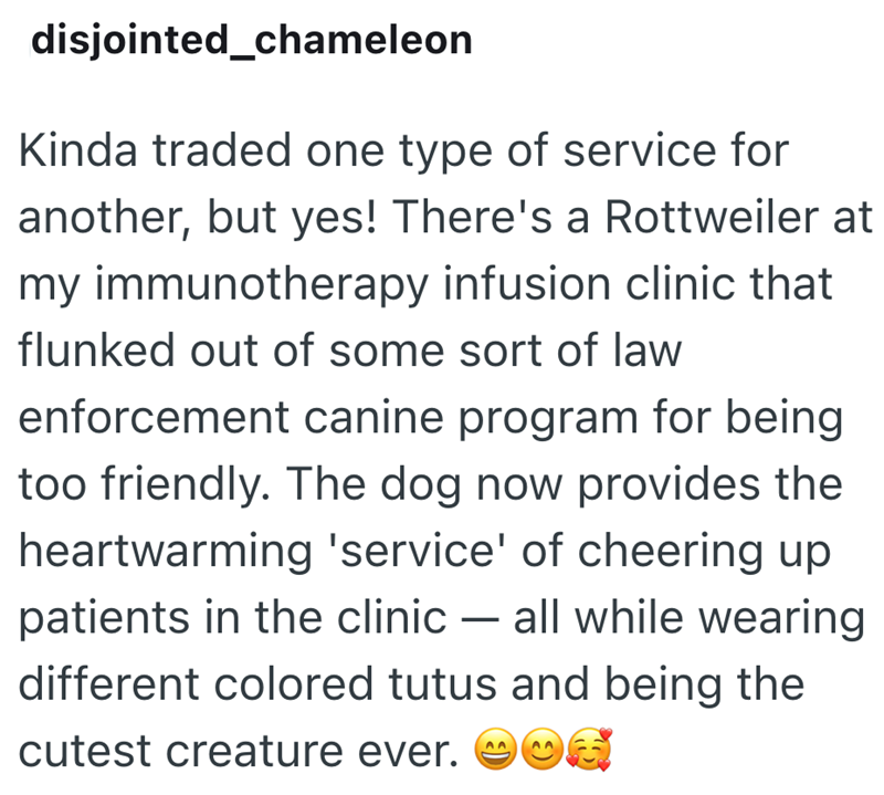 disjointed_chameleon Kinda traded one type of service for another, but yes! There's a Rottweiler at my immunotherapy infusion clinic that flunked out of some sort of law enforcement canine program for being too friendly. The dog now provides the heartwarming 'service' of cheering up patients in the clinic - all while wearing different colored tutus and being the cutest creature ever. ☺☺