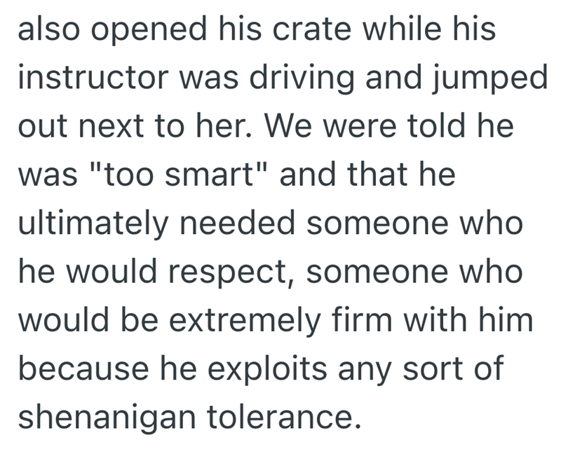 also opened his crate while his instructor was driving and jumped out next to her. We were told he was "too smart" and that he ultimately needed someone who he would respect, someone who would be extremely firm with him because he exploits any sort of shenanigan tolerance.