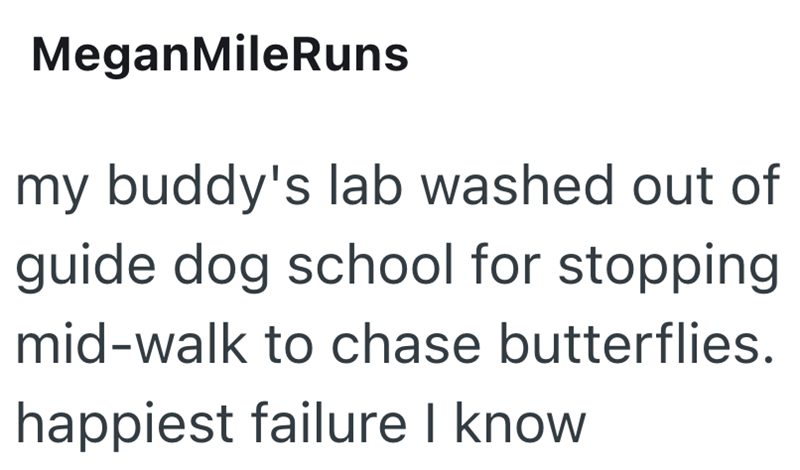 MeganMile Runs my buddy's lab washed out of guide dog school for stopping mid-walk to chase butterflies. happiest failure I know