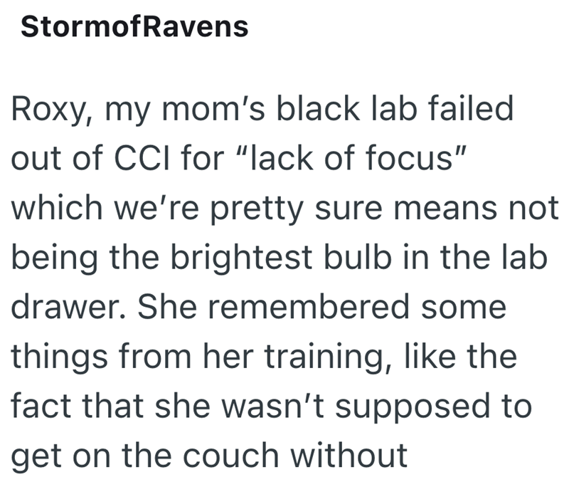 StormofRavens Roxy, my mom's black lab failed out of CCI for "lack of focus" which we're pretty sure means not being the brightest bulb in the lab drawer. She remembered some things from her training, like the fact that she wasn't supposed to get on the couch without