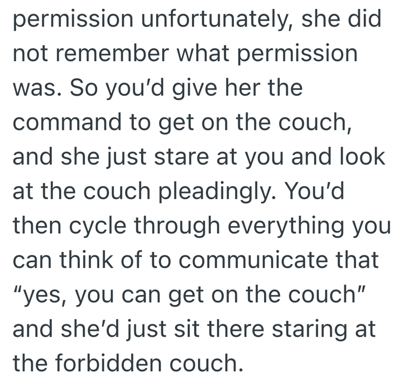 permission unfortunately, she did not remember what permission was. So you'd give her the command to get on the couch, and she just stare at you and look at the couch pleadingly. You'd then cycle through everything you can think of to communicate that "yes, you can get on the couch" and she'd just sit there staring at the forbidden couch.
