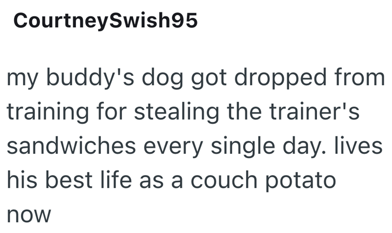 CourtneySwish95 my buddy's dog got dropped from training for stealing the trainer's sandwiches every single day. lives his best life as a couch potato now