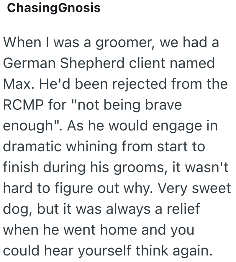 ChasingGnosis When I was a groomer, we had a German Shepherd client named Max. He'd been rejected from the RCMP for "not being brave enough". As he would engage in dramatic whining from start to finish during his grooms, it wasn't hard to figure out why. Very sweet dog, but it was always a relief when he went home and you could hear yourself think again.