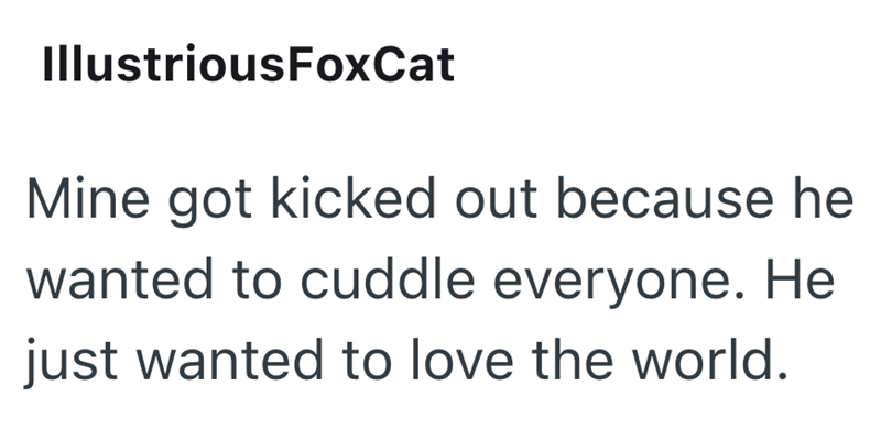 IllustriousFoxCat Mine got kicked out because he wanted to cuddle everyone. He just wanted to love the world.