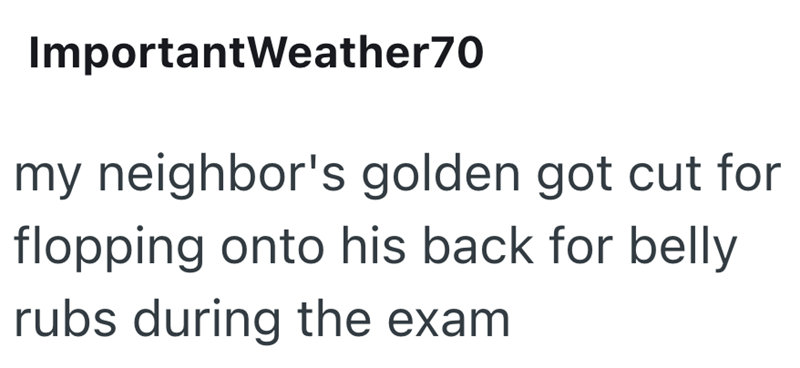 ImportantWeather70 my neighbor's golden got cut for flopping onto his back for belly rubs during the exam