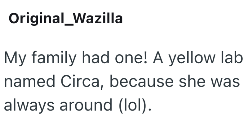 Original_Wazilla My family had one! A yellow lab named Circa, because she was always around (lol).