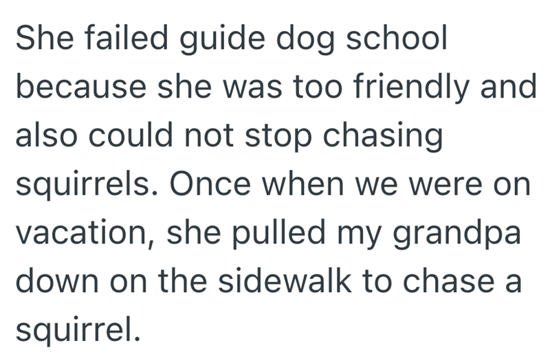 She failed guide dog school because she was too friendly and also could not stop chasing squirrels. Once when we were on vacation, she pulled my grandpa down on the sidewalk to chase a squirrel.