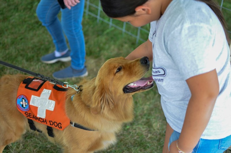 SEARCH DOG as gram