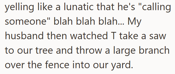 yelling like a lunatic that he's "calling someone" blah blah blah... My husband then watched T take a saw to our tree and throw a large branch over the fence into our yard.
