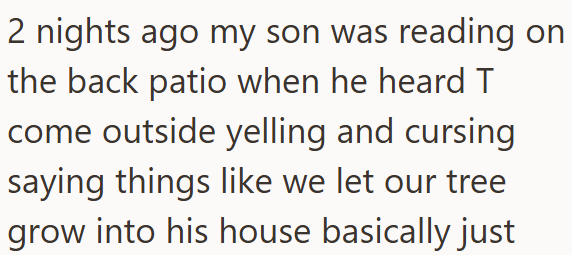 2 nights ago my son was reading on the back patio when he heard T come outside yelling and cursing saying things like we let our tree grow into his house basically just