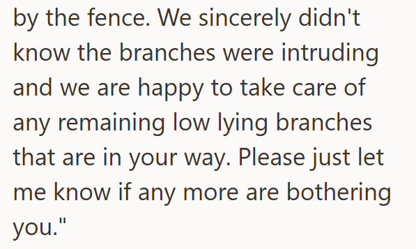 by the fence. We sincerely didn't know the branches were intruding and we are happy to take care of any remaining low lying branches that are in your way. Please just let me know if any more are bothering you."