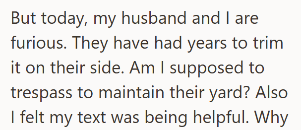 But today, my husband and I are furious. They have had years to trim it on their side. Am I supposed to trespass to maintain their yard? Also I felt my text was being helpful. Why