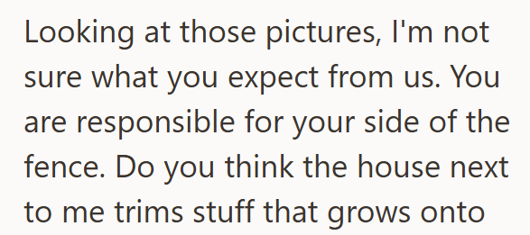 Looking at those pictures, I'm not sure what you expect from us. You are responsible for your side of the fence. Do you think the house next to me trims stuff that grows onto