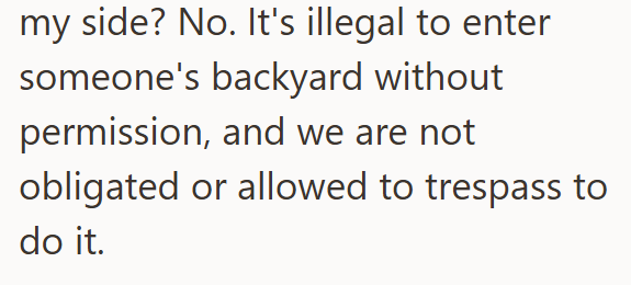 my side? No. It's illegal to enter someone's backyard without permission, and we are not obligated or allowed to trespass to do it.