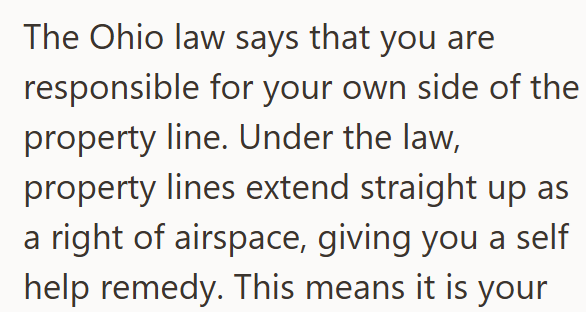 The Ohio law says that you are responsible for your own side of the property line. Under the law, property lines extend straight up as a right of airspace, giving you a self help remedy. This means it is your