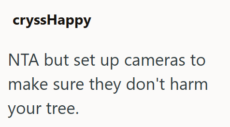 cryssHappy NTA but set up cameras to make sure they don't harm your tree.