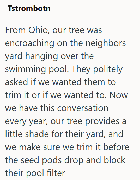 Tstrombotn From Ohio, our tree was encroaching on the neighbors yard hanging over the swimming pool. They politely asked if we wanted them to trim it or if we wanted to. Now we have this conversation every year, our tree provides a little shade for their yard, and we make sure we trim it before the seed pods drop and block their pool filter