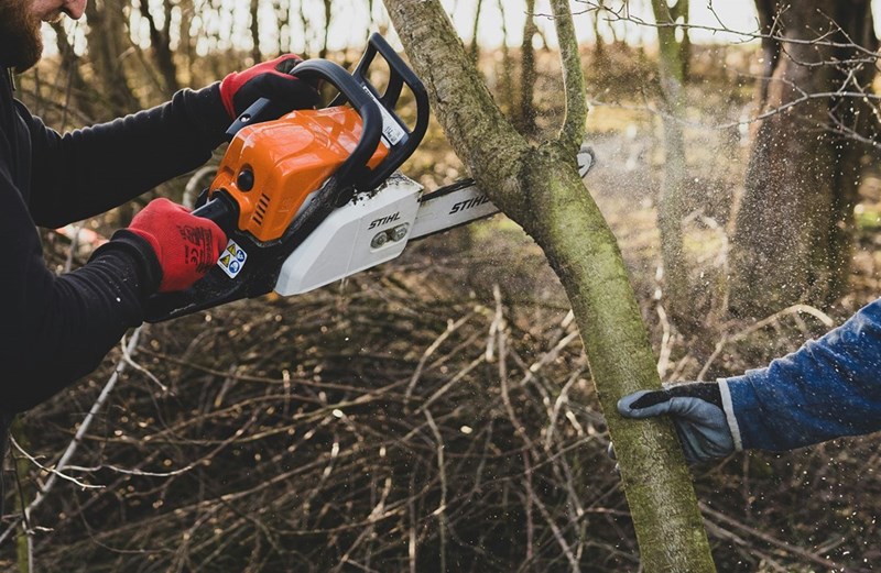 A neighbor uses a chainsaw to cut overhanging tree branches after a dispute over who is responsible for maintaining each side of the property line.
