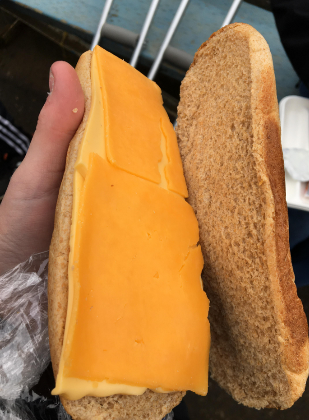 Cheezburger Image 10660519936