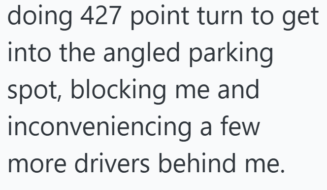 doing 427 point turn to get into the angled parking spot, blocking me and inconveniencing a few more drivers behind me.