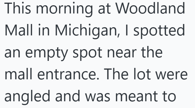 This morning at Woodland Mall in Michigan, I spotted an empty spot near the mall entrance. The lot were angled and was meant to