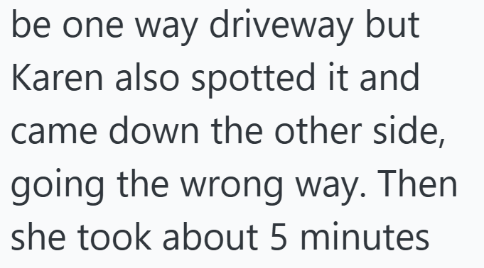 be one way driveway but Karen also spotted it and came down the other side, going the wrong way. Then she took about 5 minutes