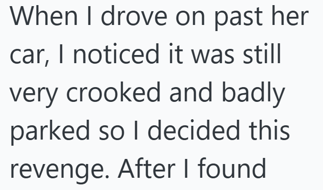 When I drove on past her car, I noticed it was still very crooked and badly parked so I decided this revenge. After I found