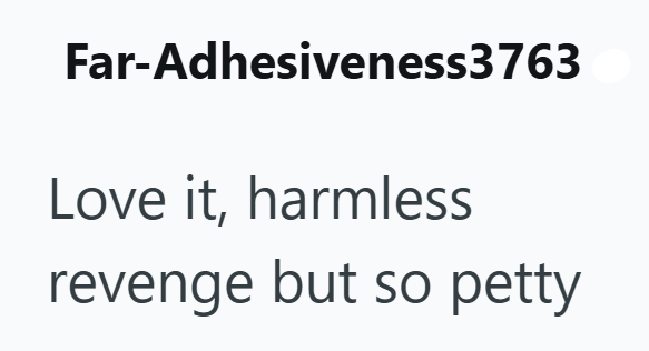 Far-Adhesiveness3763 Love it, harmless revenge but so petty